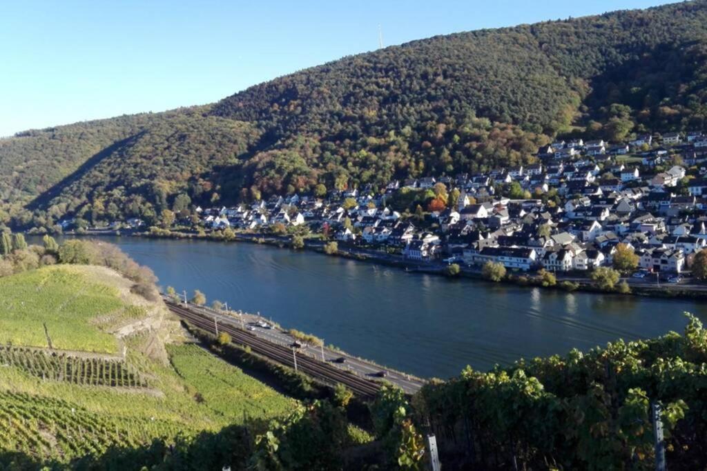 Ferienhaus Chalet Marc Am Moselbogen Villa Koblenz  Ngoại thất bức ảnh